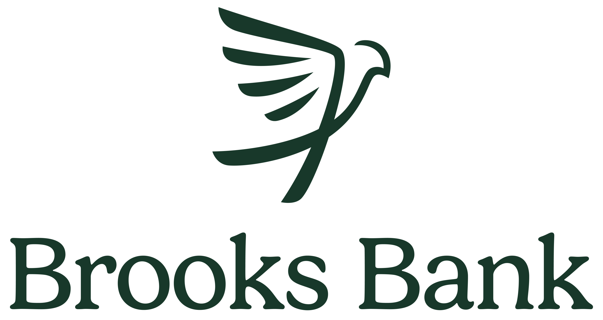 Brooks Bank Rewards